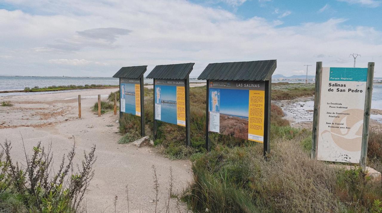 Arenales 116 Lejlighed La Manga Eksteriør billede